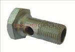 74033 - FUEL INJECTION HOLLOW BOLT - VOLVO N/NL10, NL12